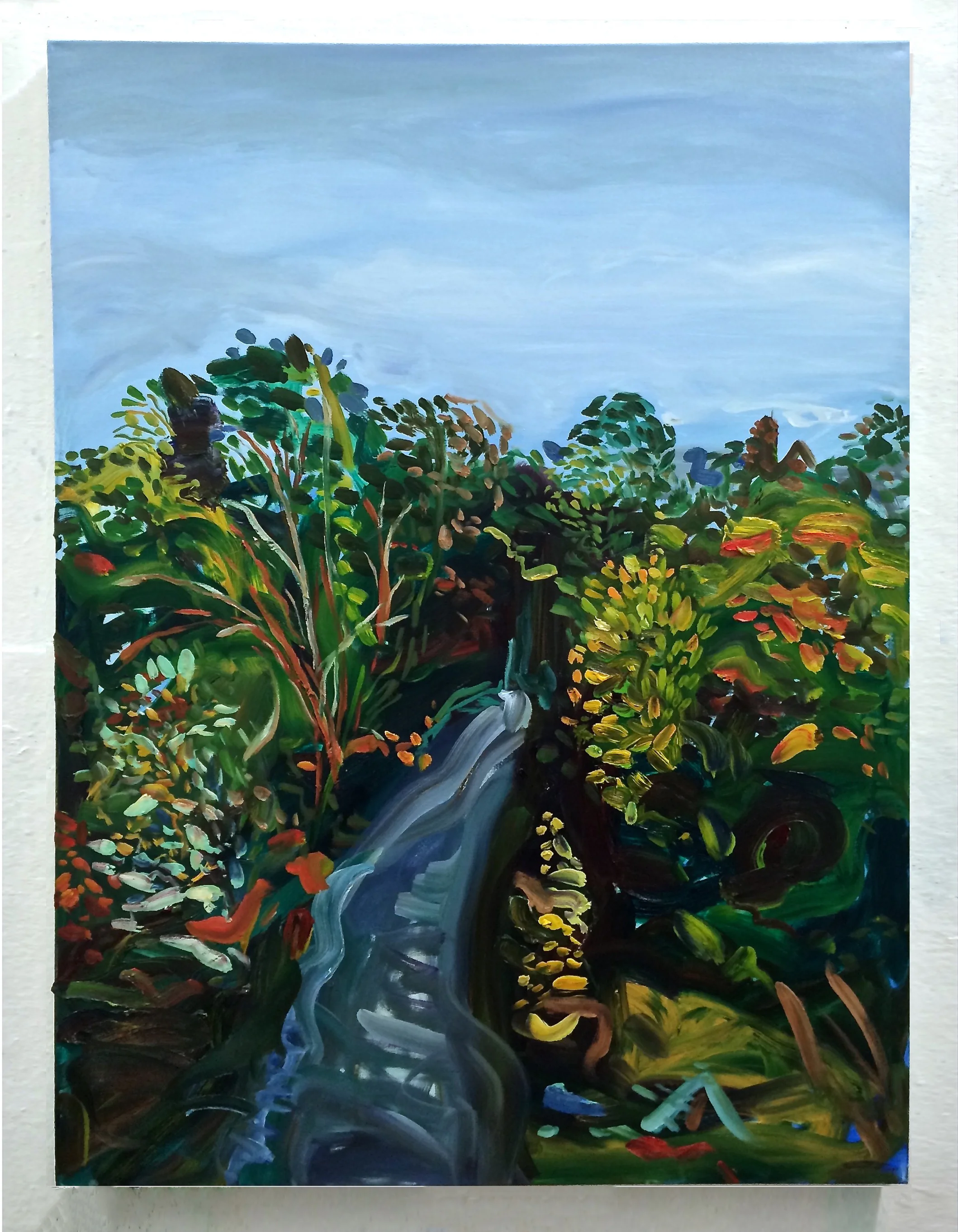 Sombre Morning Trail