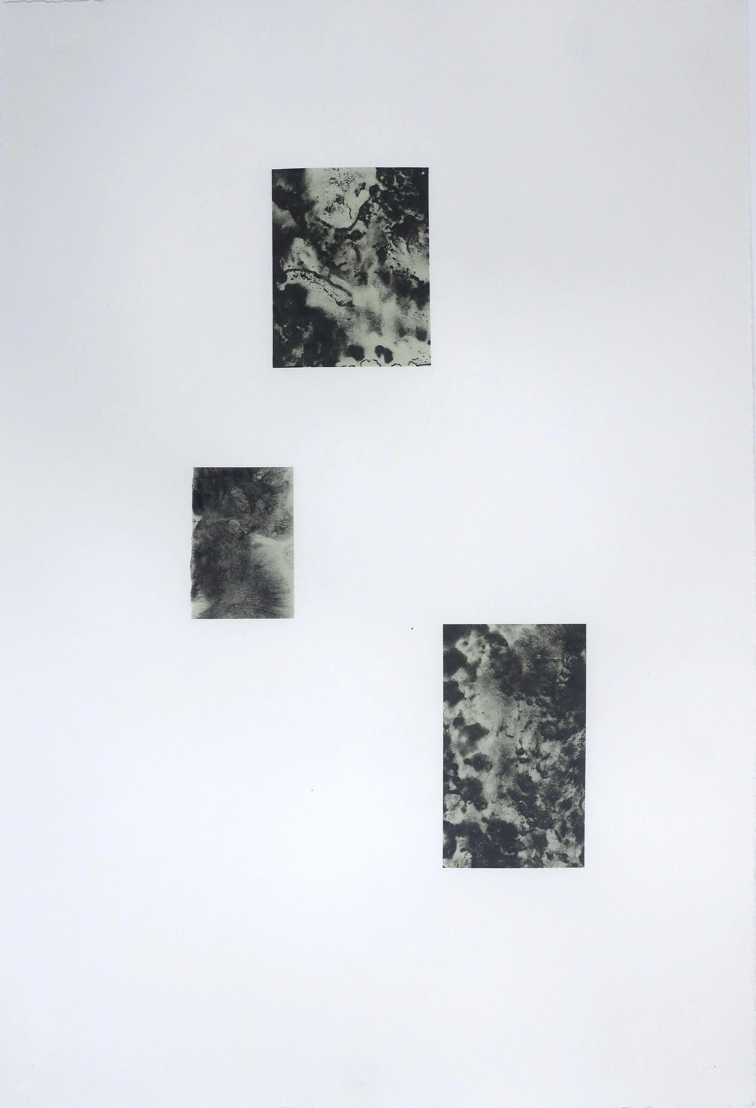 transient front I 2025 Lithograph on Awagami Kozo, Awagami Kitikata and Magnani Pescia 560 × 380