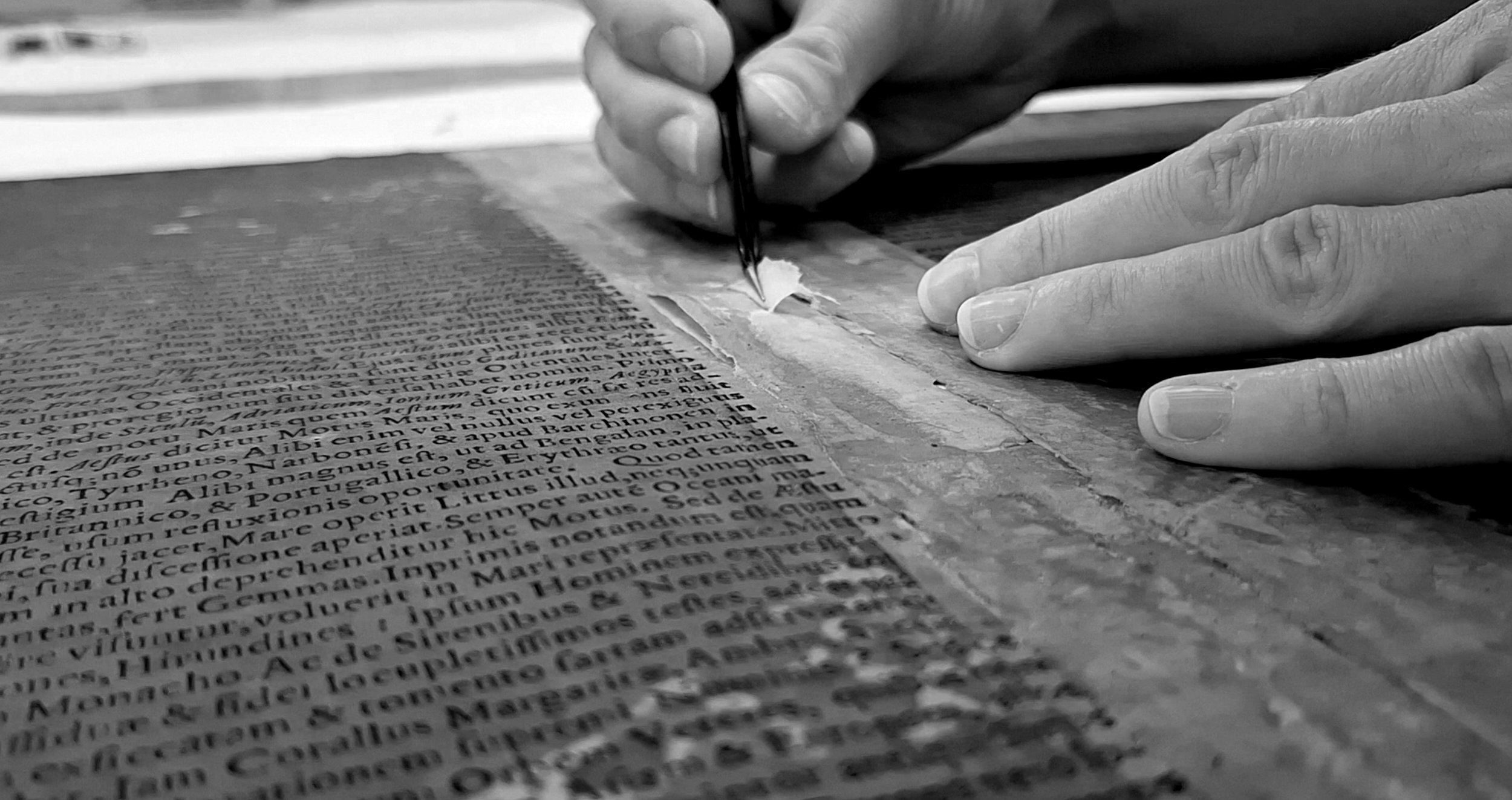 website_treatment cover.jpg