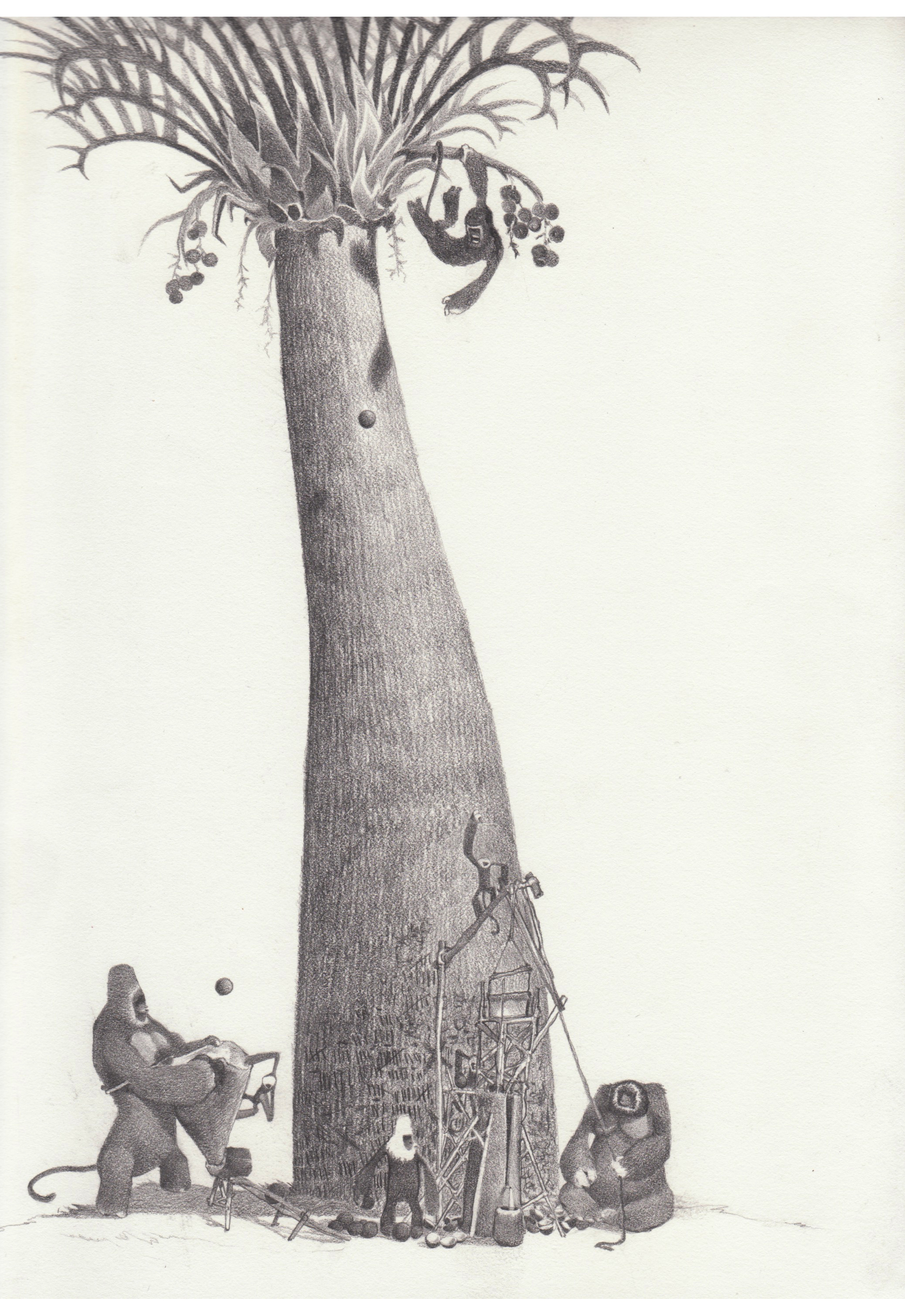 Scan 13.jpeg