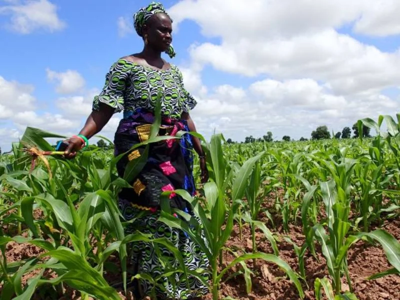 woman-holding-crop_640x480.jpg