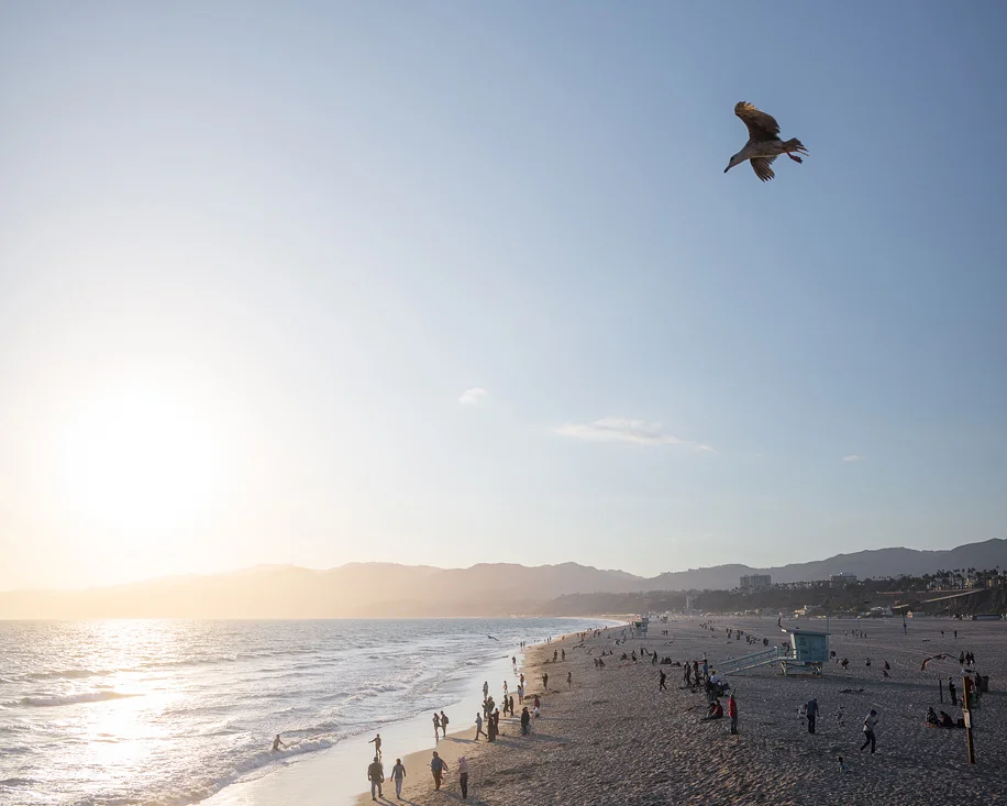 California Dreaming
