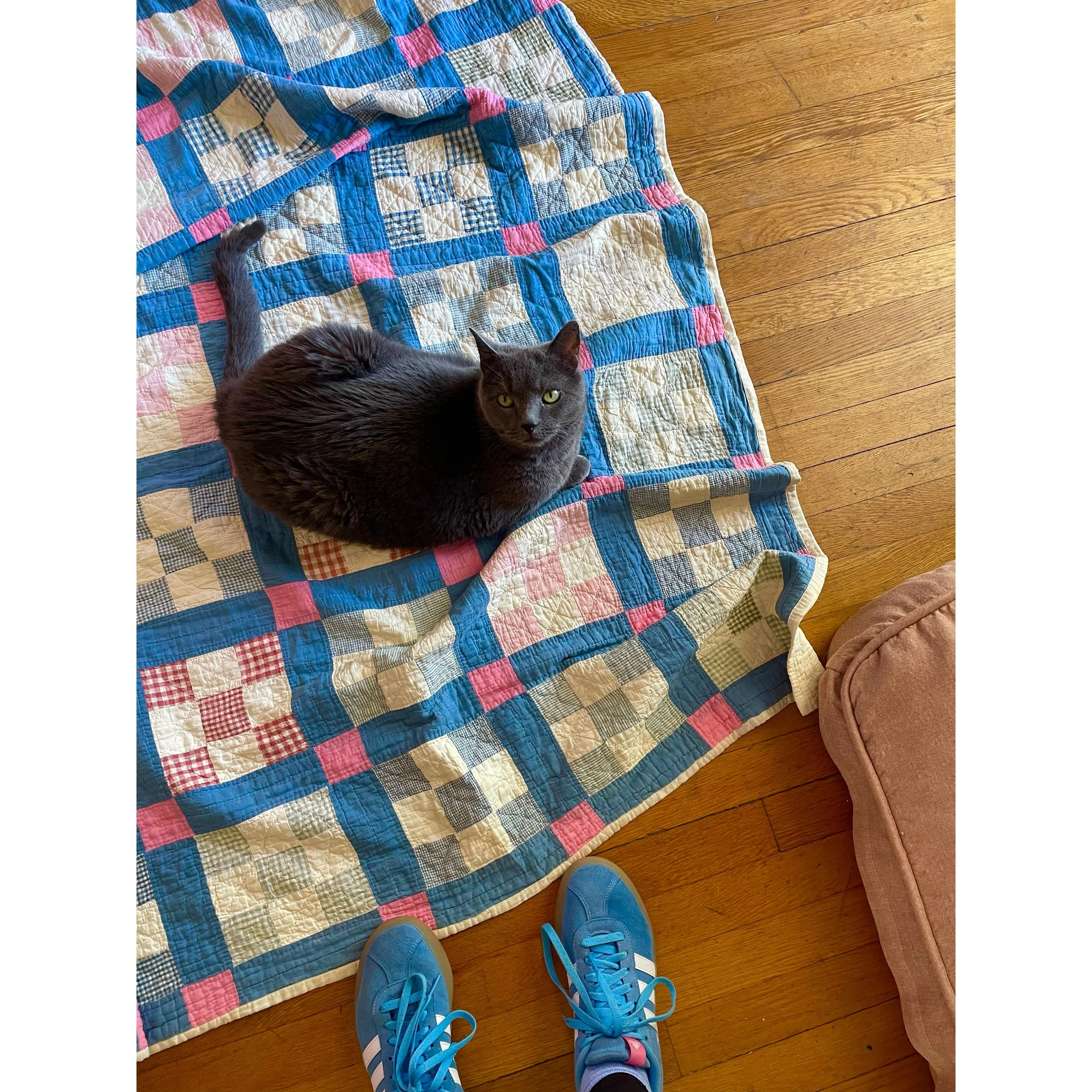 Whitagram-Image (6).JPG