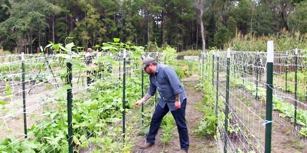 Cook it Raw Comes to Charleston