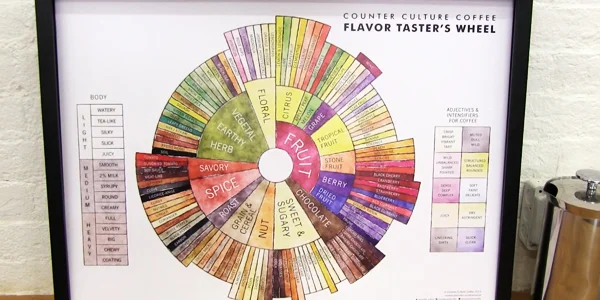 How to Drink Coffee Like Wine