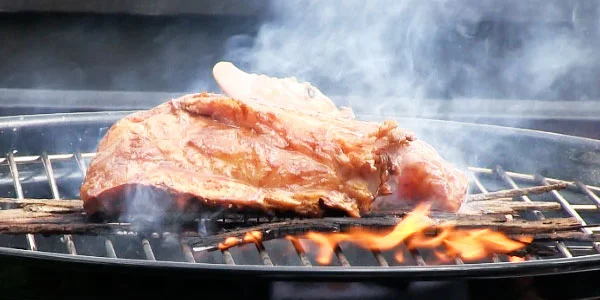 Grilling Fish Collar