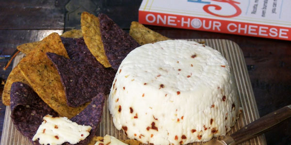 How to Make Cheese in 15 Minutes