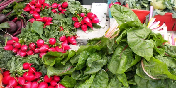 Organic vs Local: Restaurant Roundtable