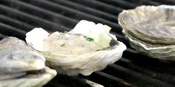 How to Grill Oysters