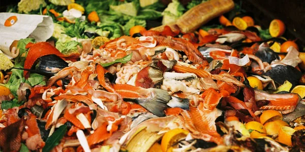 Food Waste: Chefs Talk About Improving our Food Future