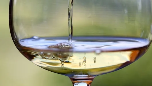 Inside the Life of a Sommelier