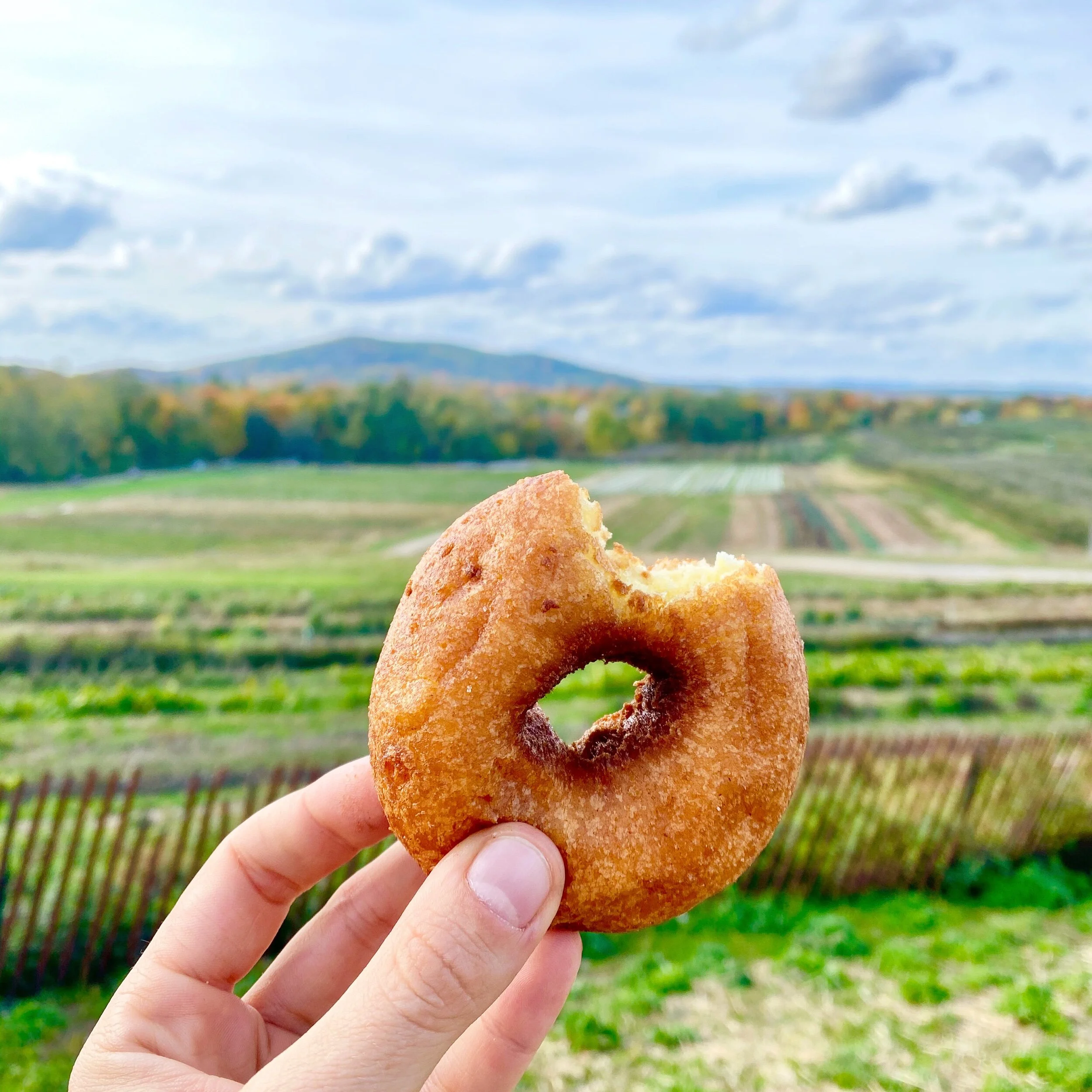 It’s Fall, So You Need Easy Cider Donuts