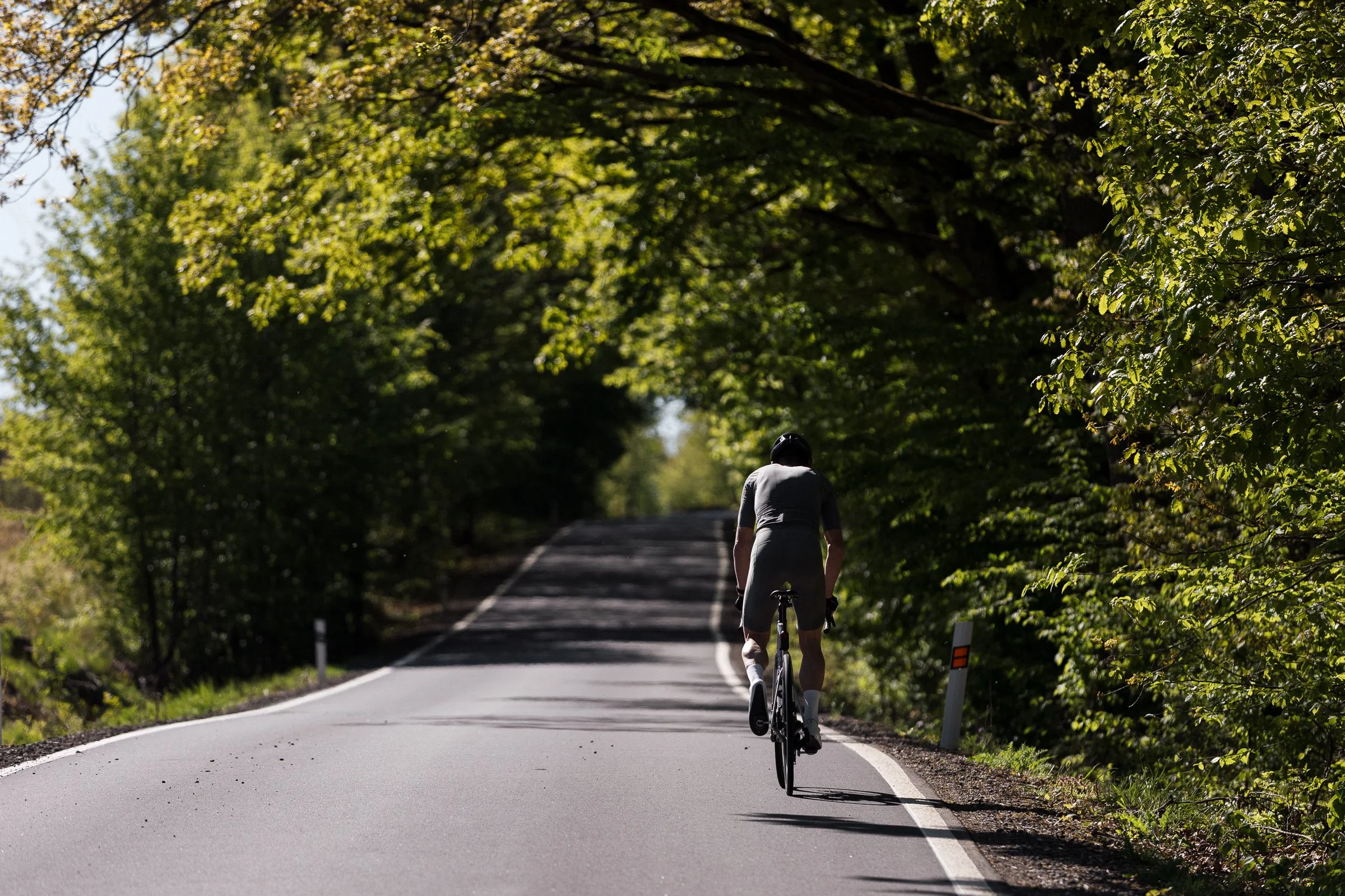 R6II5951.jpg