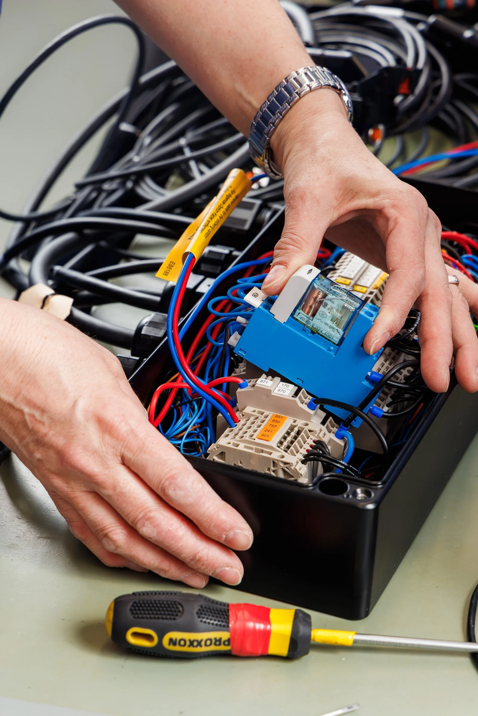 1Z9A2574.jpg