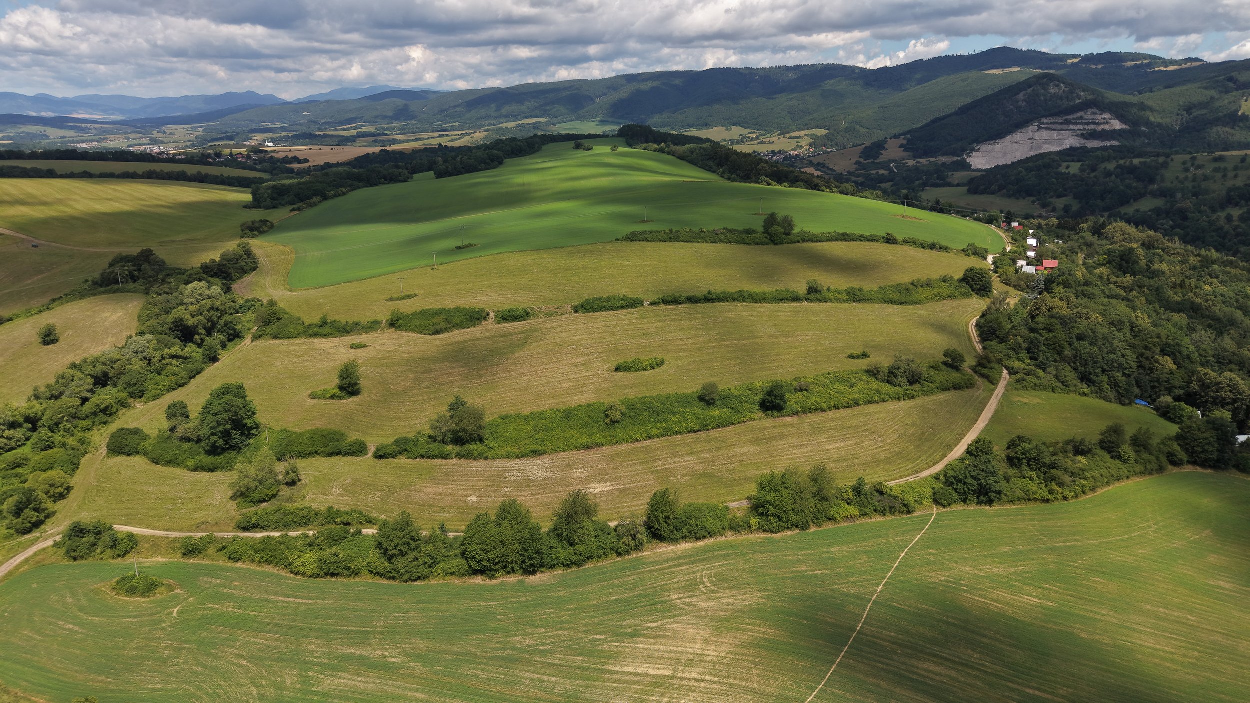 DJI_20260708115613_0381_D.jpg