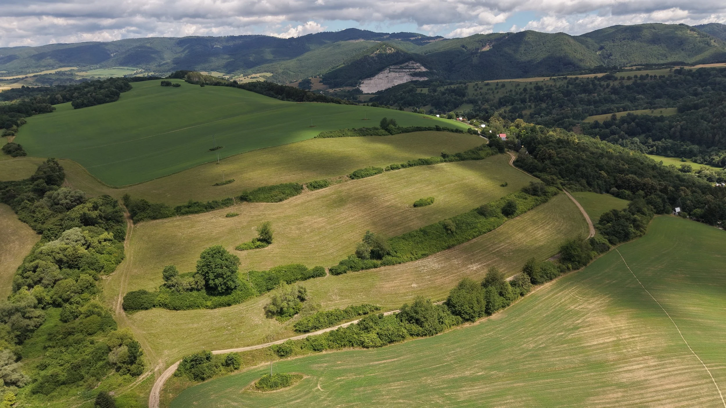 DJI_20260708115721_0383_D.jpg
