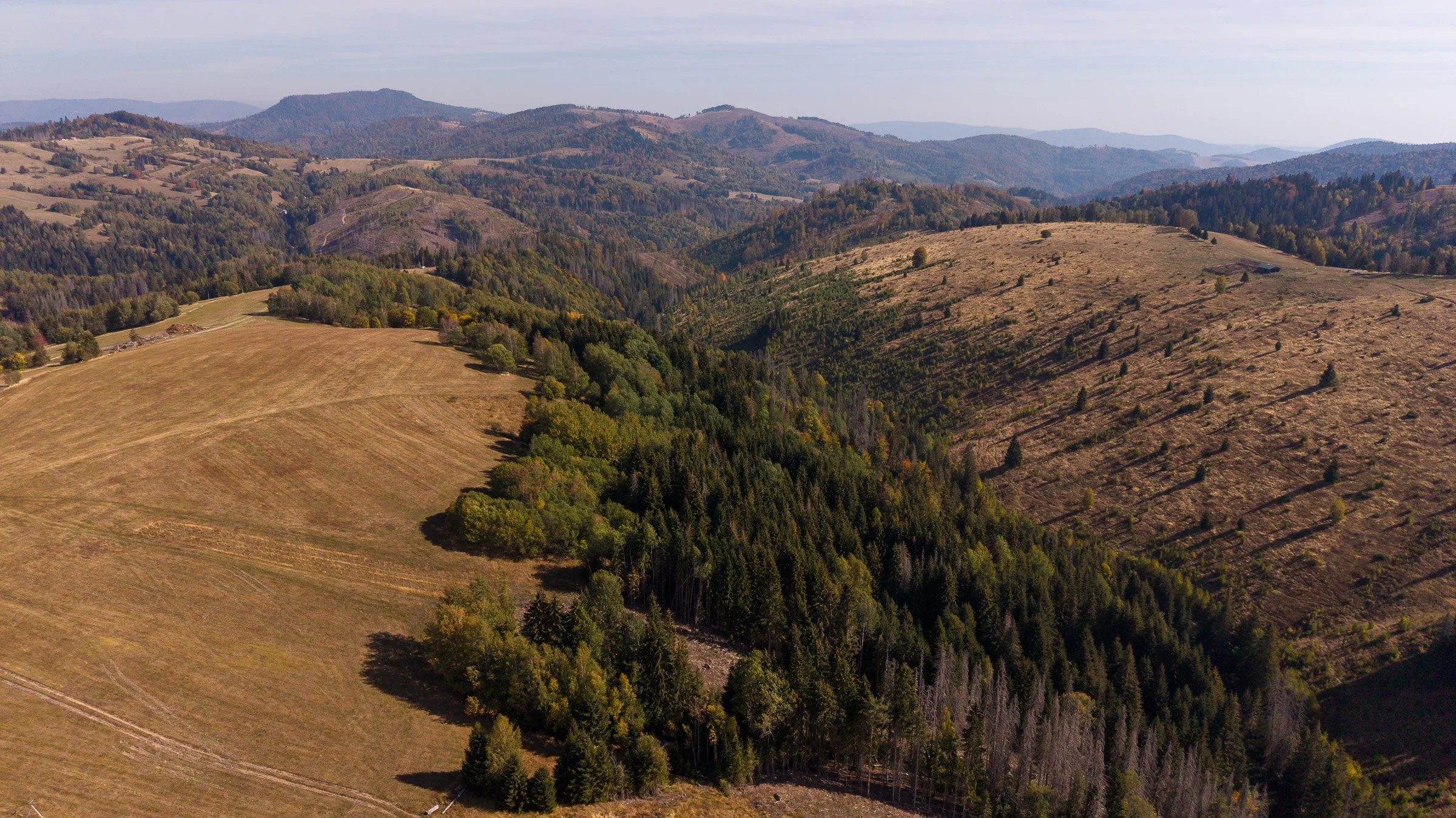 DJI_20261007113016_0094_D.jpg