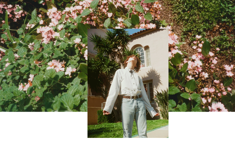 WWWY-21.gif