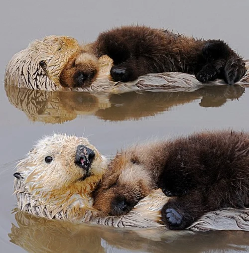it's hug time!