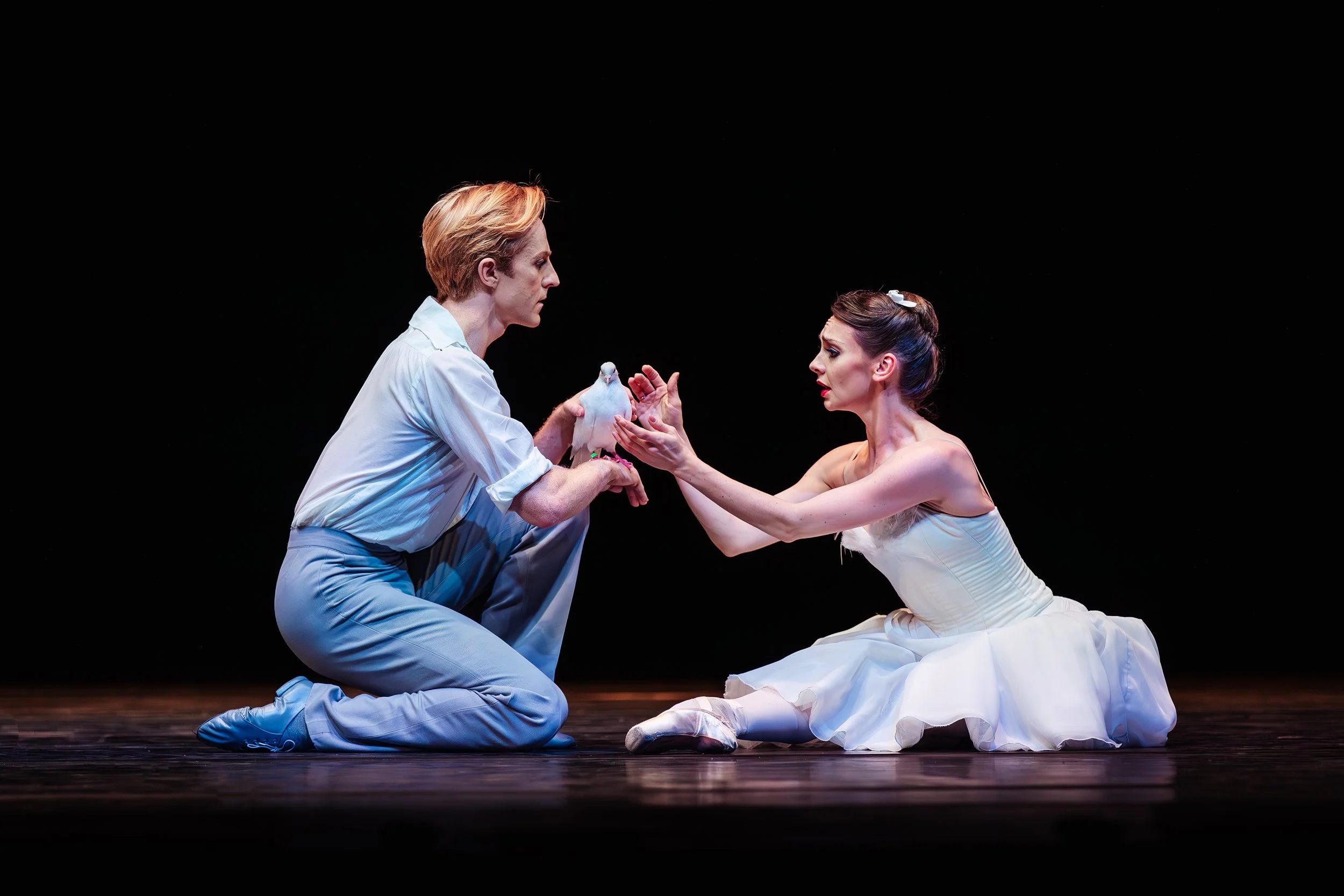 Hull2017-RoyalBallet-6881_JamesMulkeen.jpg