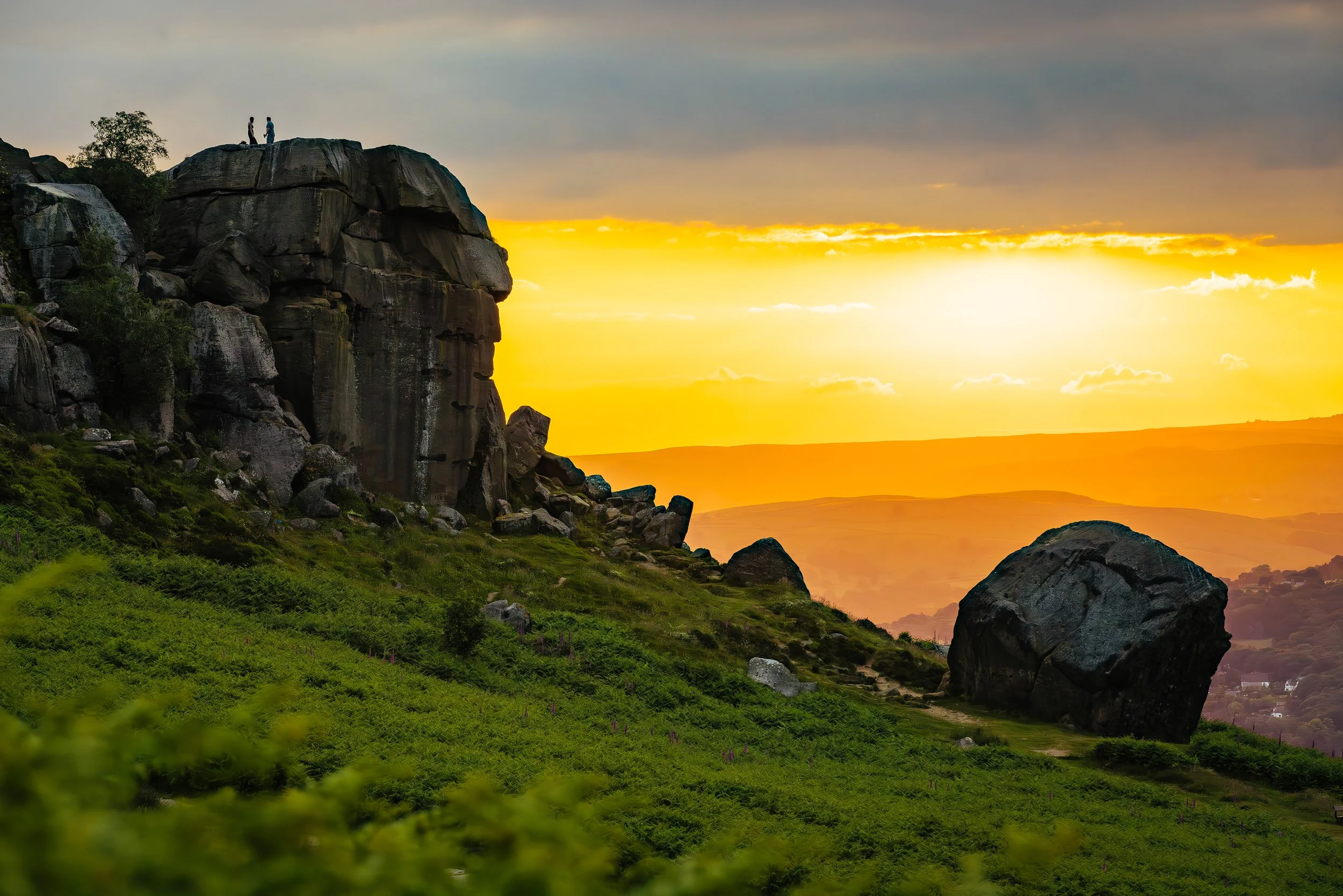 WEB-WestYorksireLVEP_20240624_JamesMulkeen_Bradford_Cow&Calf_3219.jpg