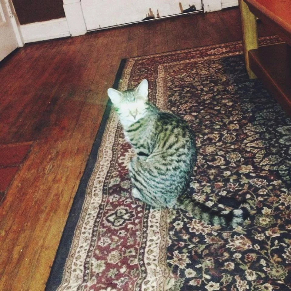 BIG JESUS @ The Earl 