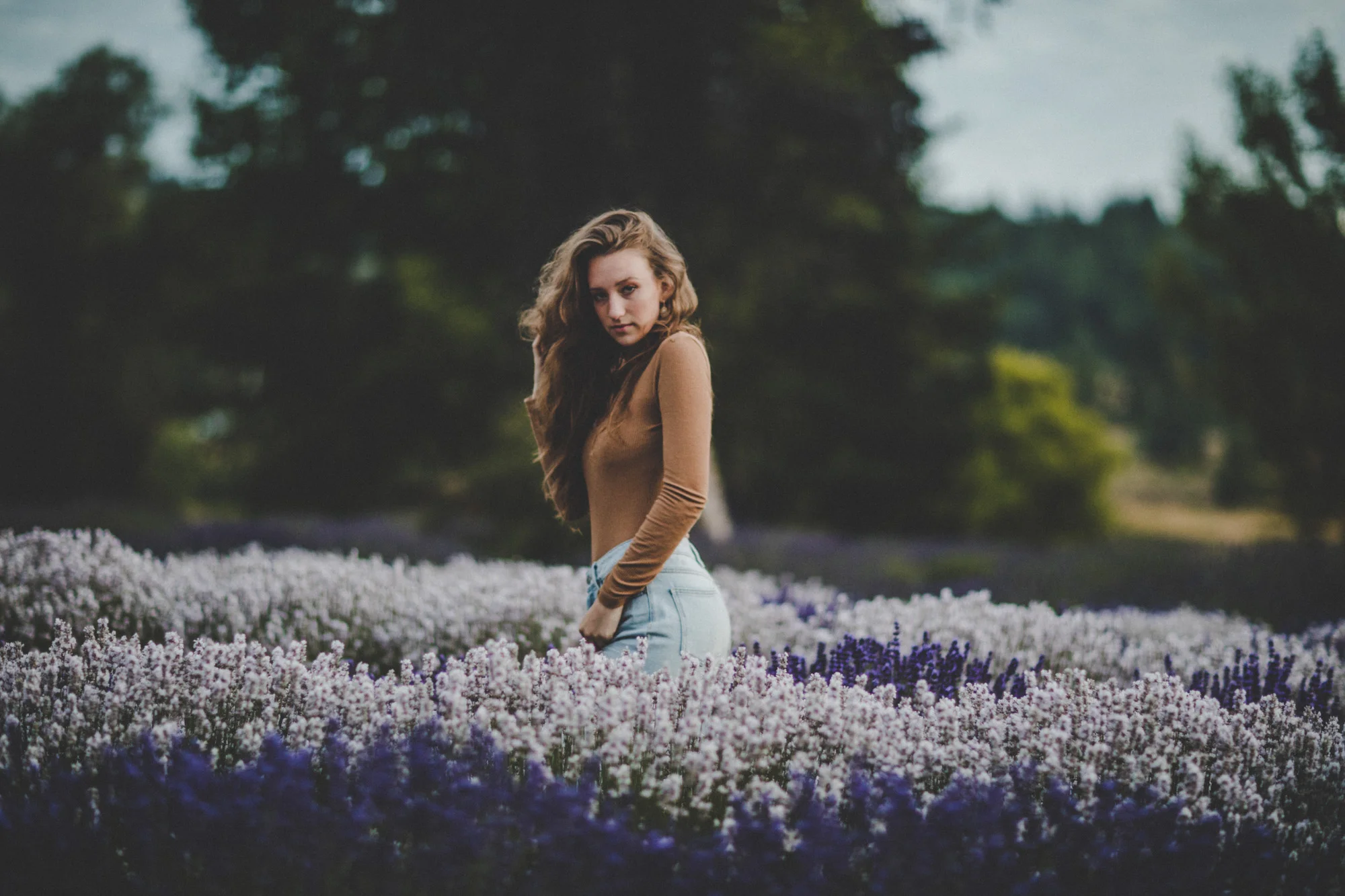47lavender.jpg