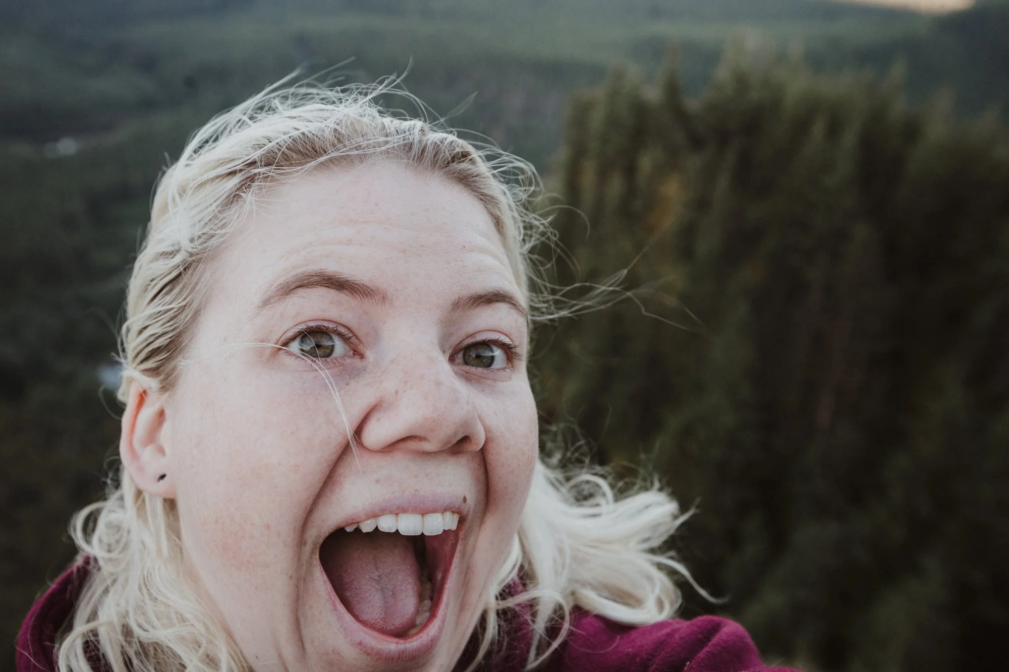 Wanna go on a crazy wild adventure with me?