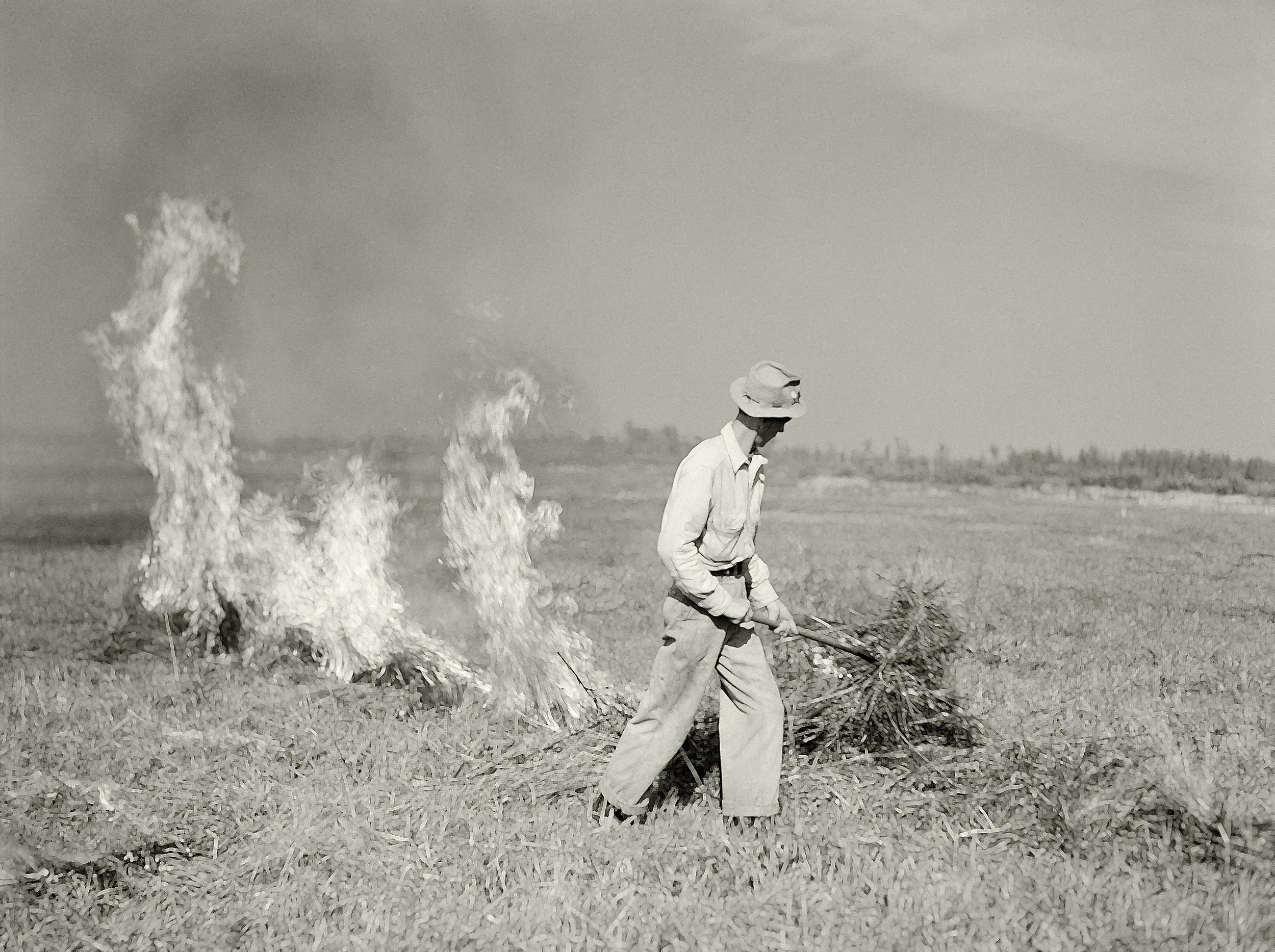 Controlled_Burn.2_UNoise_2.jpg