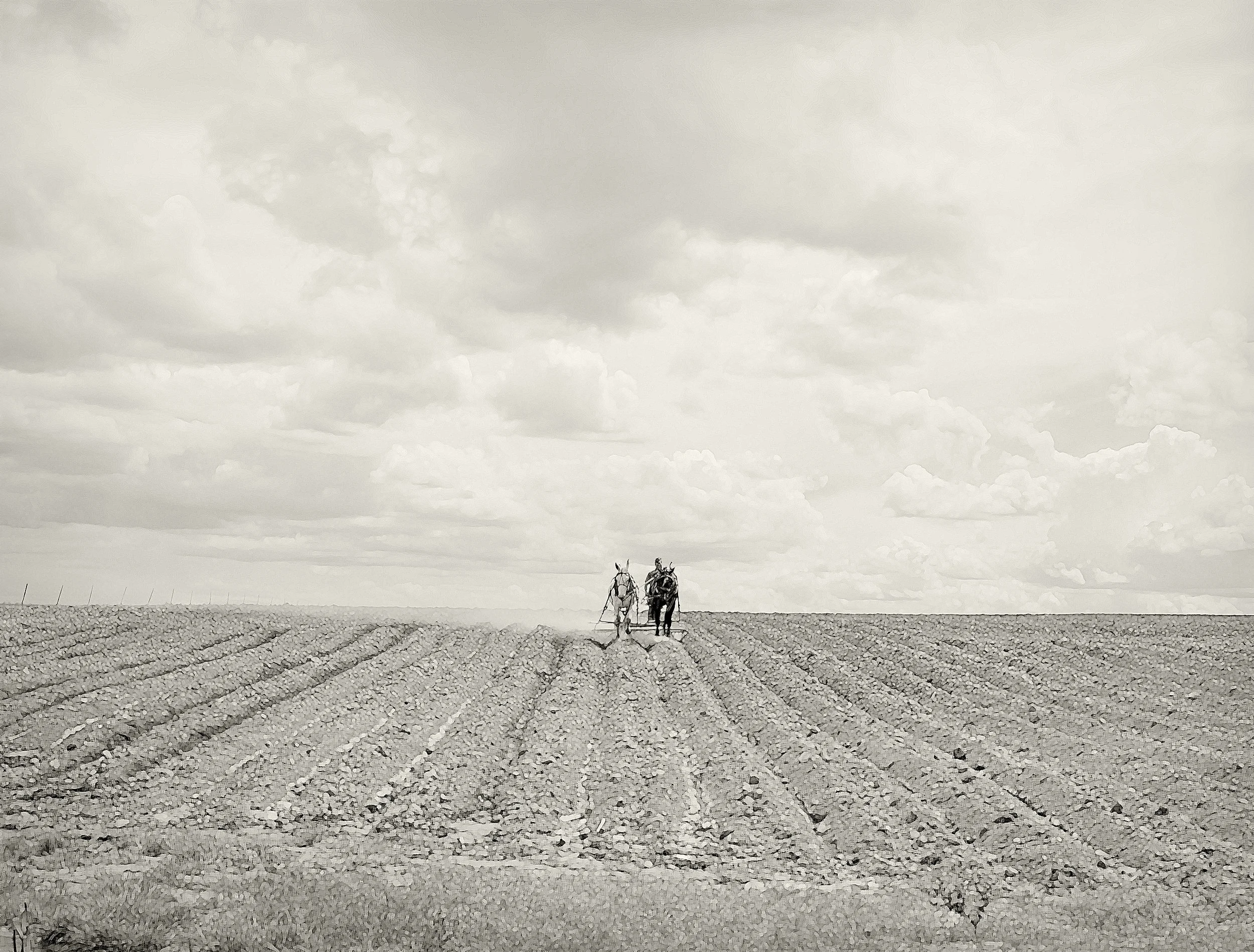 Plowing_Clouds.11_Web.jpg
