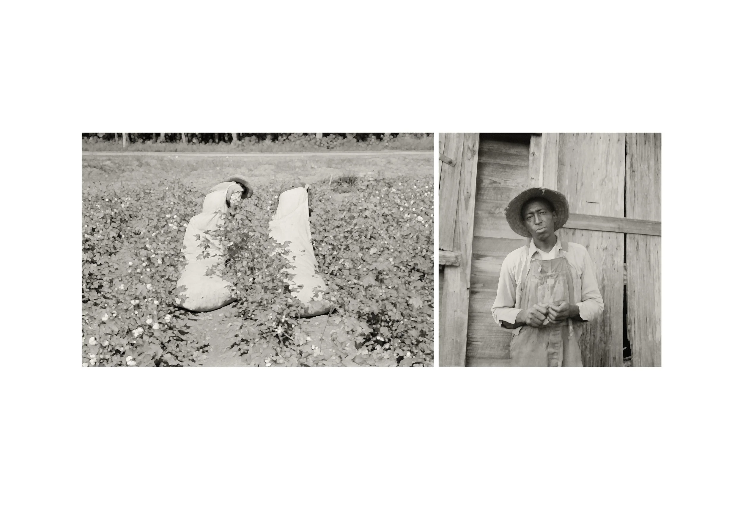 What the Fields Couldn't Take.jpg