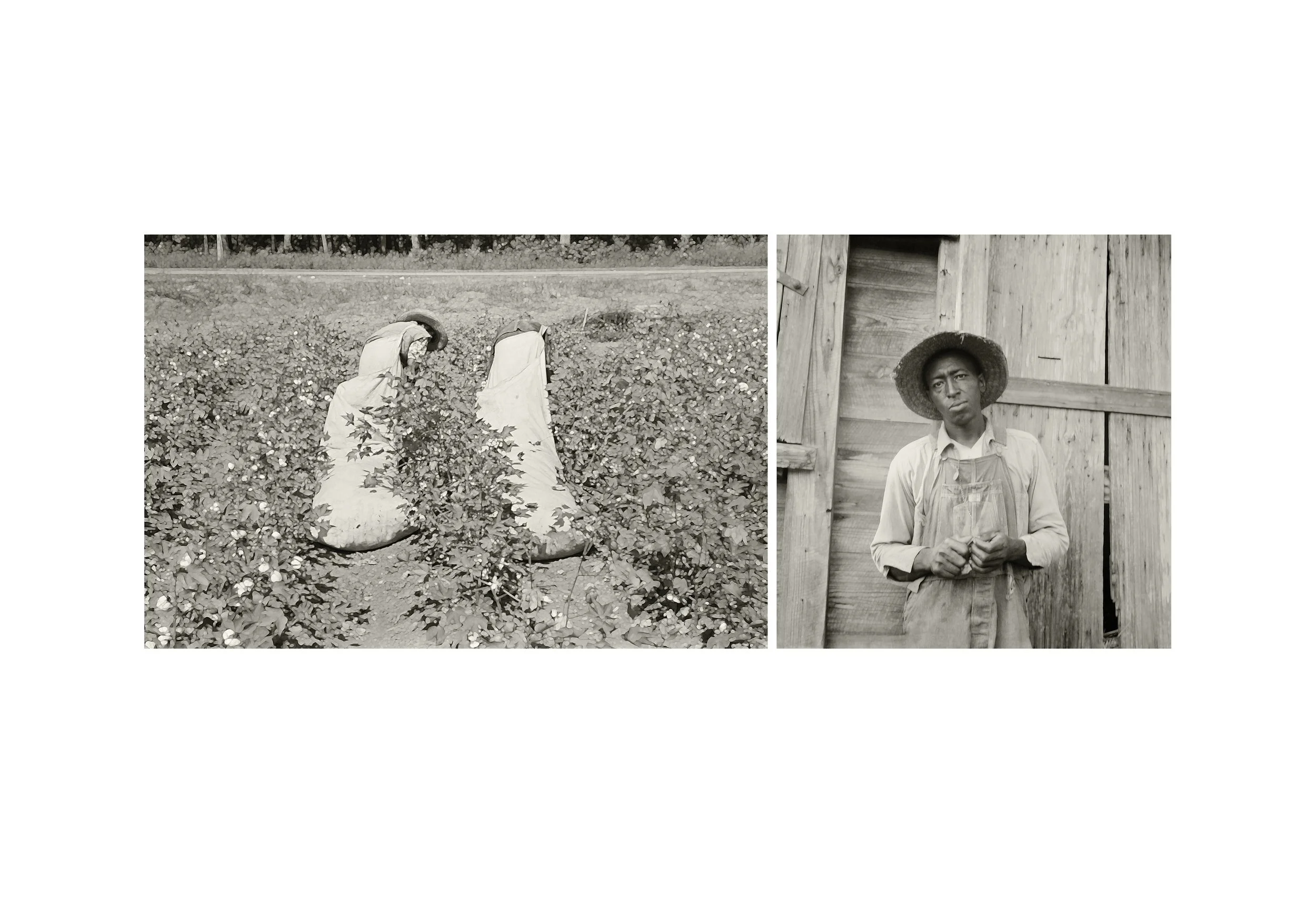 What the Fields Couldn't Take3.jpg