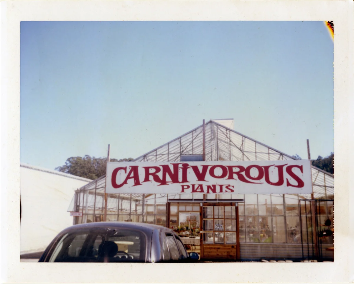 carnivorous plants.jpg
