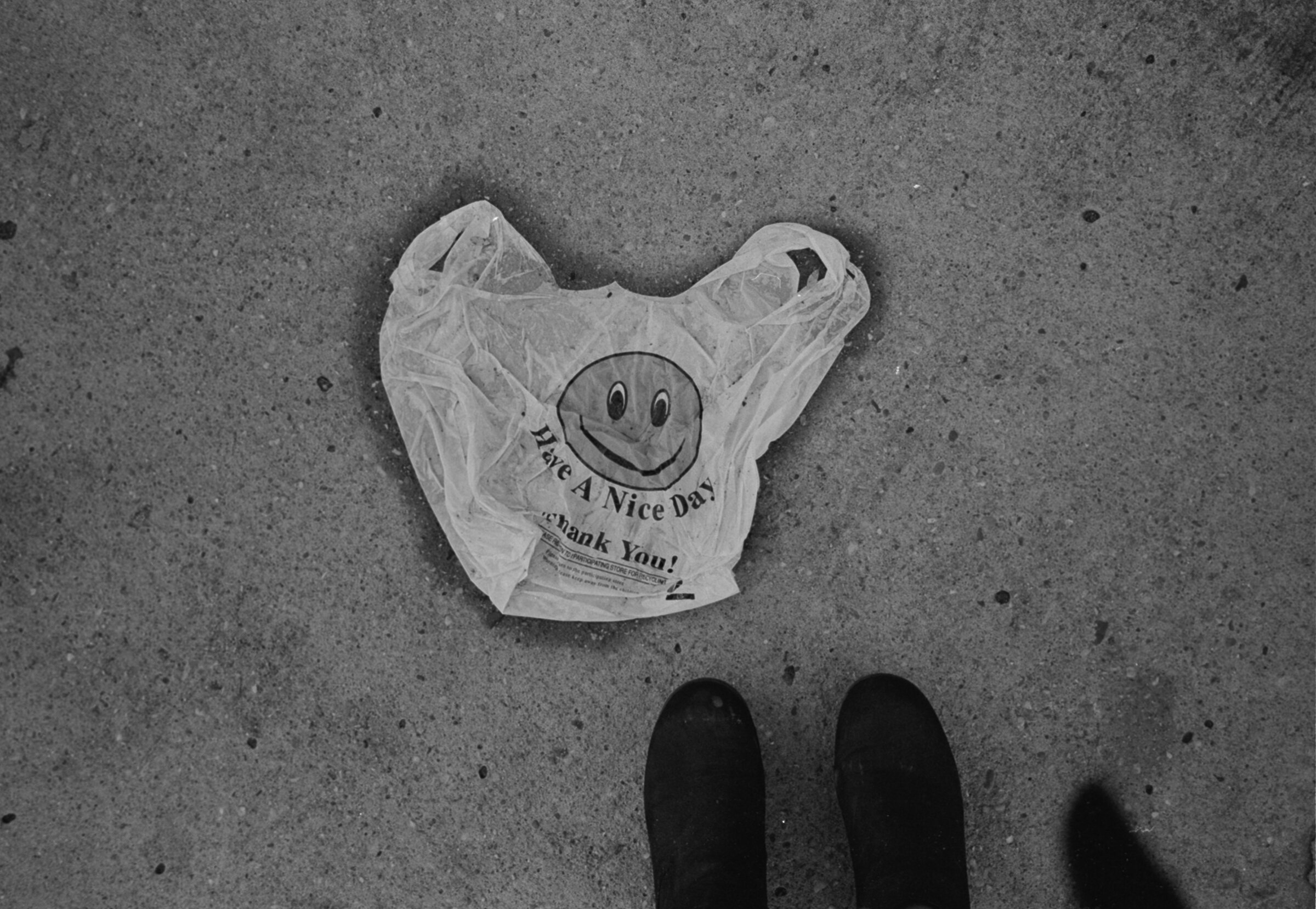 have a nice day dec 2015 edit 1_1.jpg