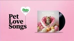PET LOVE SONGS CASE STUDY FILM