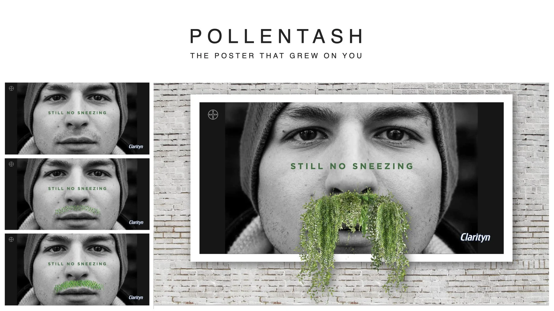 POLLENTASH LIVING POSTER.jpeg