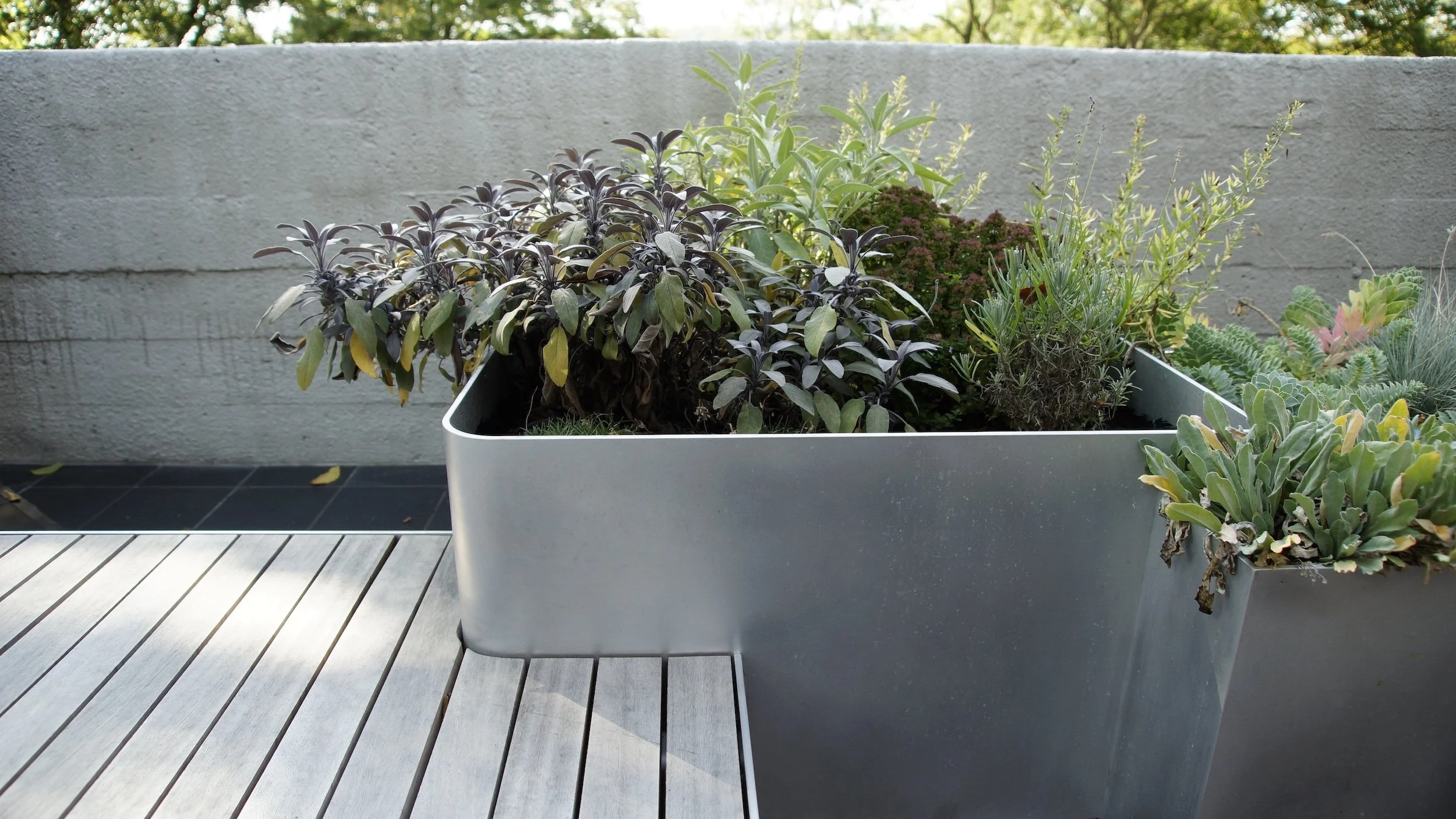 arumi-garden-design-emmanuel-gardin-photographer-emmanuel-gardin07.JPG