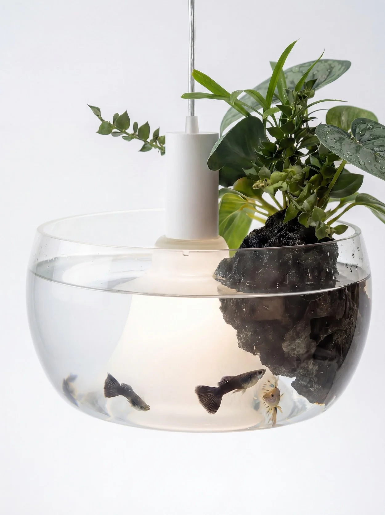 filling the lampshade following your mood or your interior design and make it last forever