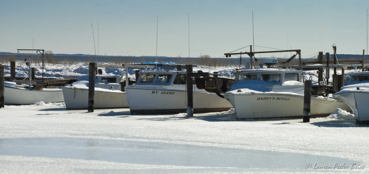 Winter on Kent Island, Maryland © Lauren Peeler Brice, Four Rivers Photo Workshops