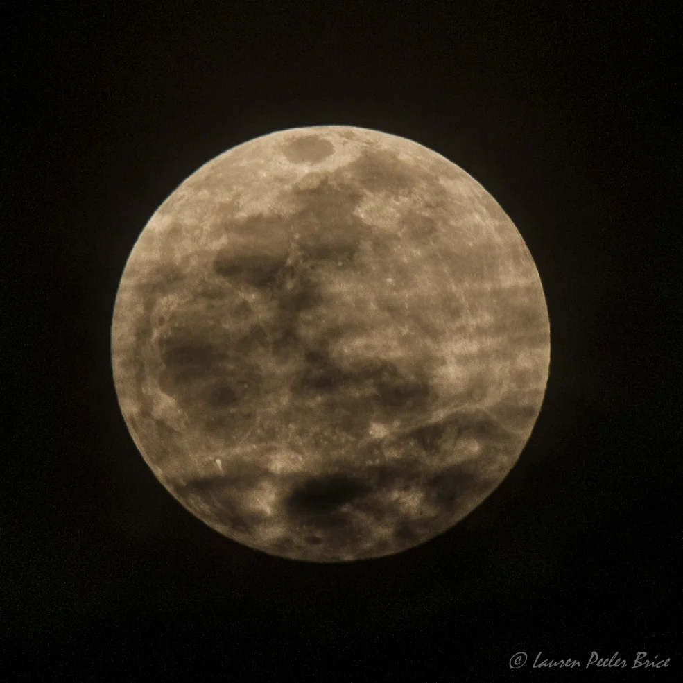 Full Moon as the Clouds Roll In, Charleston Harbor (c) Lauren Peeler Brice