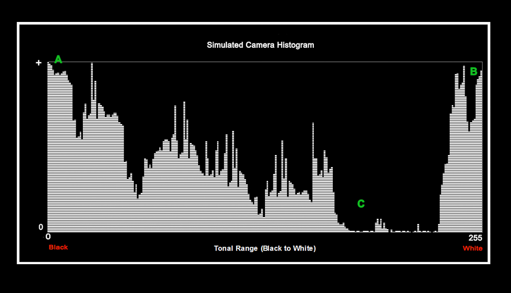 An example camera histogram