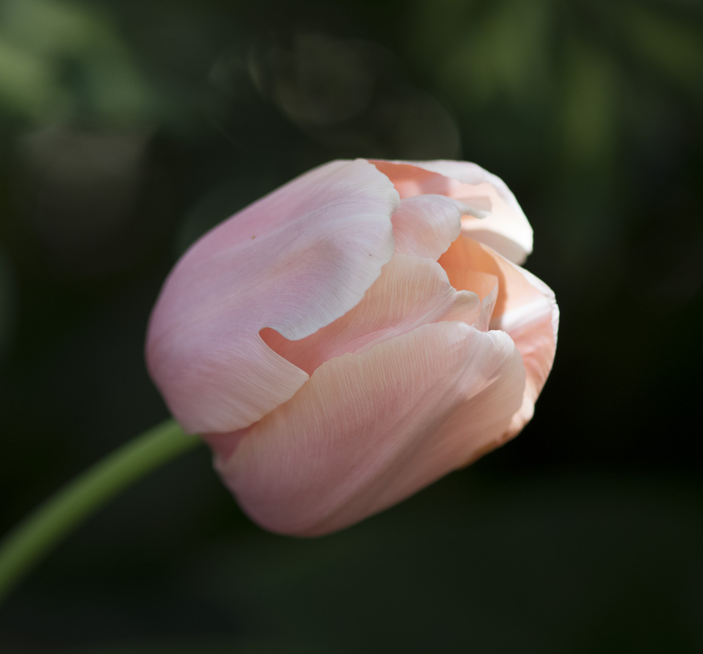 f/3.0 at 1/400 sec