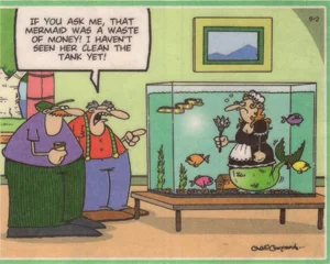 Mermaids Keep Showing Up