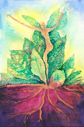 Cultivate Your Confidence: Part One