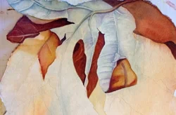 “Get in, Get Out, Step Back, Repeat…”