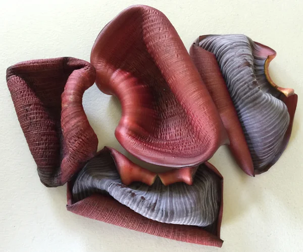 The Beauty of Found Objects