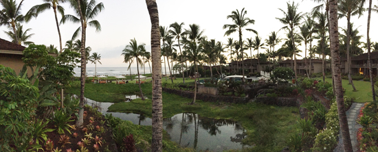 This is the view at dawn from our cabana at the Four Seasons Hualalai
