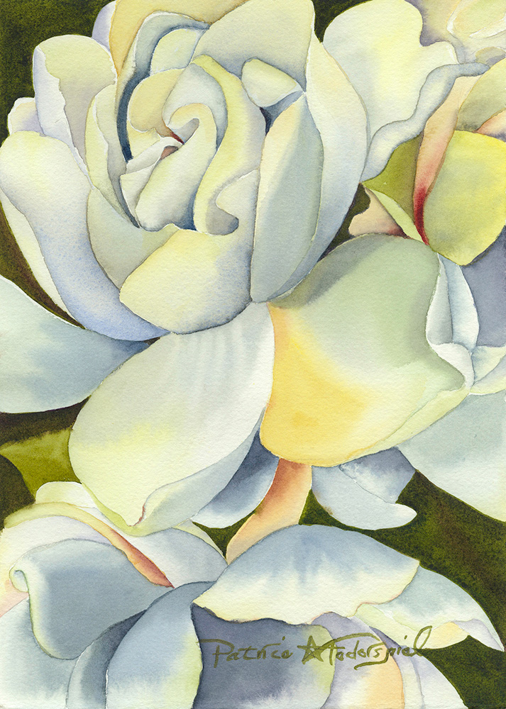Gardenia: Fragrant Spring — Patrice Federspiel Watercolors