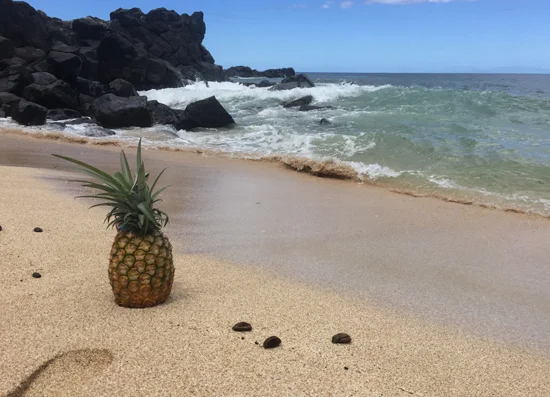 Pineapple-on-the-Beach-1-.jpg