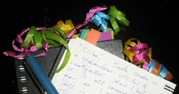 The ribbons denote my special accomplishments